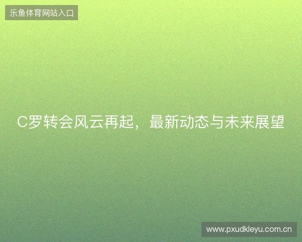 C罗转会风云再起，最新动态与未来展望