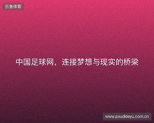 中国足球网，连接梦想与现实的桥梁